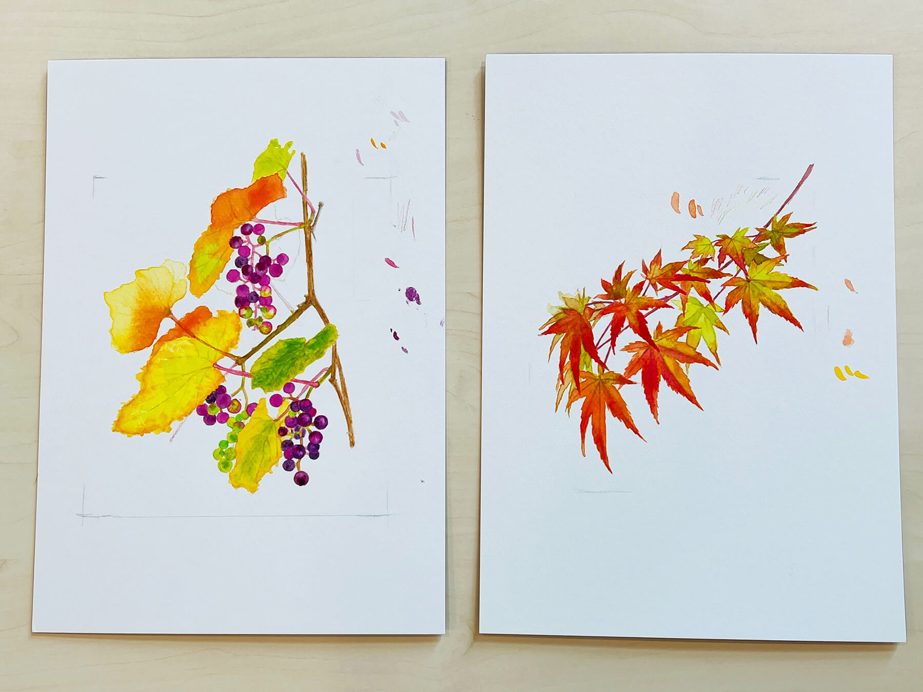 山田さんが描いた秋の植物。この絵をスキャンしてパソコンに取り込み、切手に仕上げた