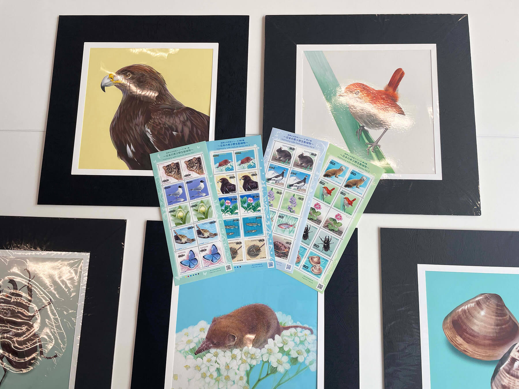 「自然との共生シリーズ～日本の希少野生動植物～」の切手と原画